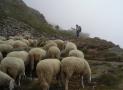 Arriving on the Sentiero del Re