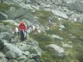 The goats in hot pursuit ....